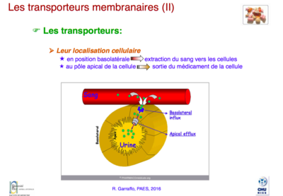 Capture d’écran 2016-02-26 à 08.41.00.png