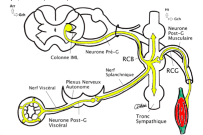 Capture d’écran 2016-02-26 à 11.32.04.png