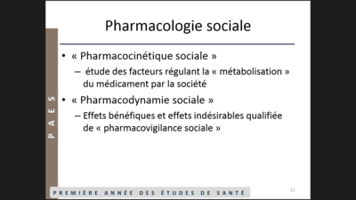 Capture d’écran (47).png