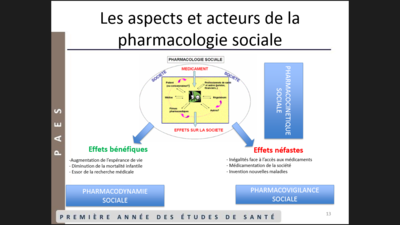 Capture d’écran (48).png