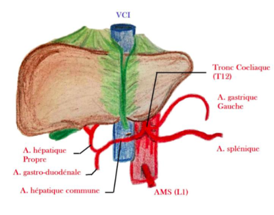 Capture d’écran 2016-02-28 à 09.34.27.png