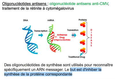 Capture d’écran 2016-03-03 à 11.04.59.png