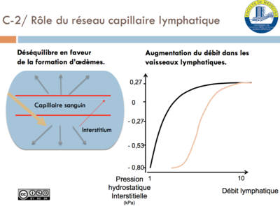 Screen Shot 2016-03-07 at 2.47.05 PM.png