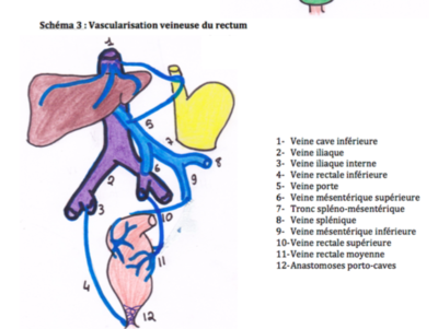 Capture d’écran 2016-03-07 à 13.01.15.png