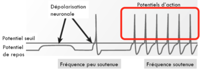 Capture d’écran 2016-03-08 à 11.35.55.png