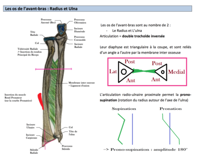 Screen Shot 2016-03-09 at 8.34.25 AM.png