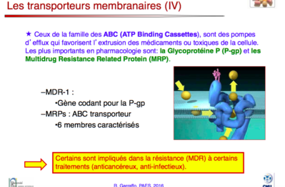 Capture d’écran 2016-03-09 à 11.21.08.png