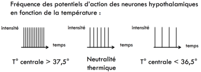 Capture d’écran 2016-03-09 à 17.06.43.png