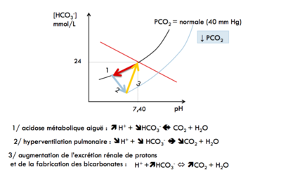 Capture d’écran 2016-03-10 à 19.58.35 1.png