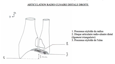 Capture d’écran 2016-03-11 à 10.13.40.png