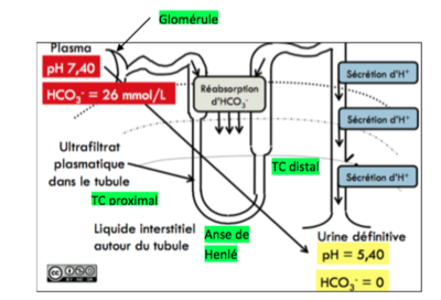 Capture d’écran 2016-03-13 à 17.46.54.png