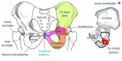 Capture d’écran 2016-03-14 à 13.42.32.png
