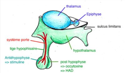 Capture d’écran 2016-03-18 à 11.23.34.png