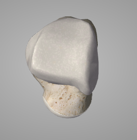 Capture d’écran 2016-03-18 à 17.56.26.png