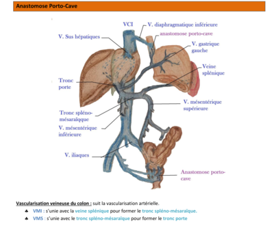 Capture d’écran (15).png
