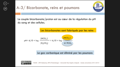 Capture d’écran (89).png