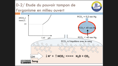 Capture d’écran (91).png