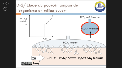 Capture d’écran (93).png
