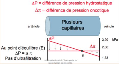 Capture d’écran 2016-03-23 à 18.49.09.png