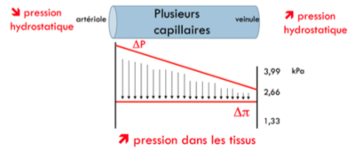 Capture d’écran 2016-03-23 à 18.52.53.png
