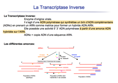 Capture d’écran 2016-03-24 à 18.42.30.png