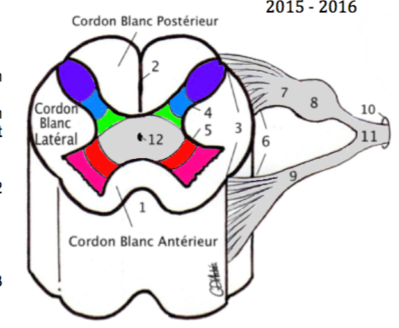 Capture d’écran 2016-03-25 à 08.06.48.png