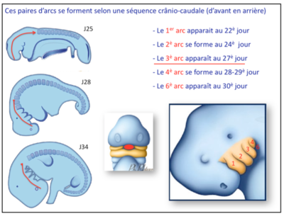 Capture d’écran 2016-03-27 à 11.03.37.png