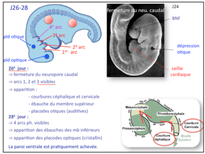 Capture d’écran 2016-03-27 à 11.01.36.png