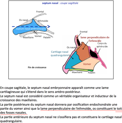 Capture d’écran 2016-03-27 à 18.45.09.png