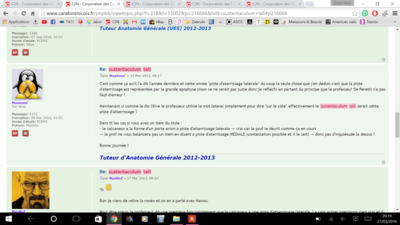 Capture d’écran (1).png