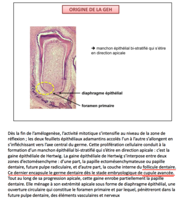 Capture d’écran 2016-03-29 à 18.17.36.png