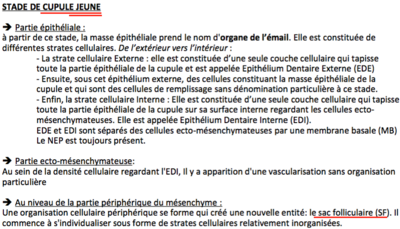 Capture d’écran 2016-03-29 à 18.17.55.png