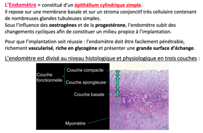 Screen Shot 2016-03-30 at 11.51.25 AM.png