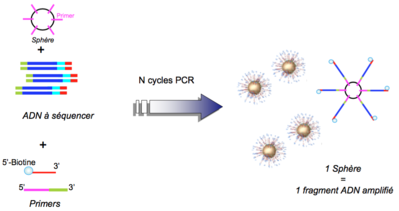 Capture d’écran 2016-04-01 à 20.59.31.png