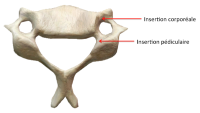 Capture d’écran 2016-04-01 à 21.43.51.png