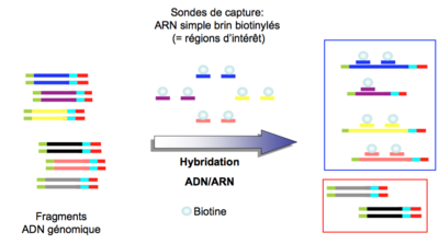 Capture d’écran 2016-04-01 à 23.20.53.png