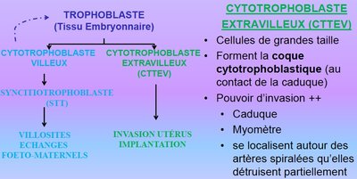 Capture d’écran 2016-04-02 à 12.45.58.jpg