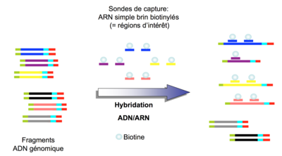 Screen Shot 2016-04-02 at 6.40.33 PM.png