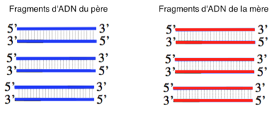 Capture d’écran 2016-04-04 à 20.31.04.png
