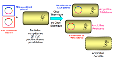 Capture d’écran 2016-04-04 à 20.40.17.png