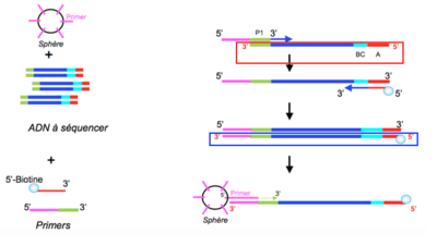 Capture d’écran 2016-04-05 à 17.18.28.png