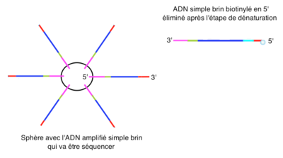 Capture d’écran 2016-04-05 à 19.43.40.png