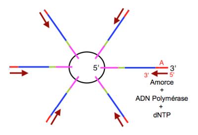 Capture d’écran 2016-04-05 à 19.55.51.png