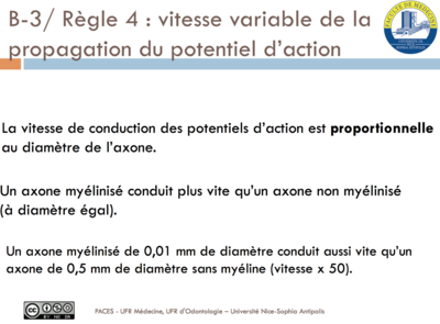 Capture d’écran 2016-04-06 à 10.05.09.png