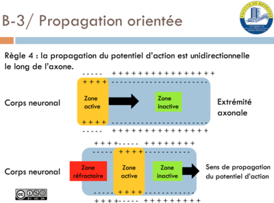 Capture d’écran 2016-04-06 à 10.05.22.png