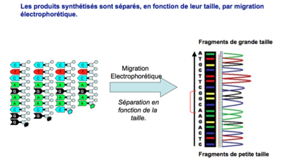 Capture d’écran 2016-04-06 à 11.55.02.png