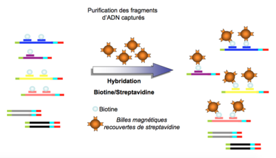 Capture d’écran 2016-04-06 à 12.20.56.png