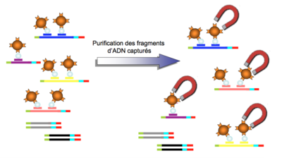 Capture d’écran 2016-04-06 à 12.32.49.png