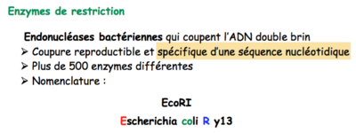 Capture d’écran 2016-04-06 à 12.49.53.png