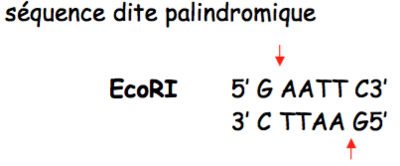 Capture d’écran 2016-04-06 à 12.54.22.png